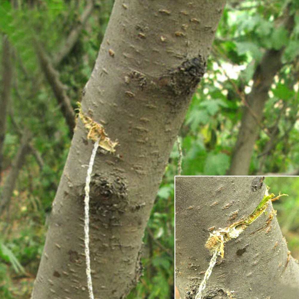 Portable Stainless Steel Outdoor Wire Saw with Finger Handle