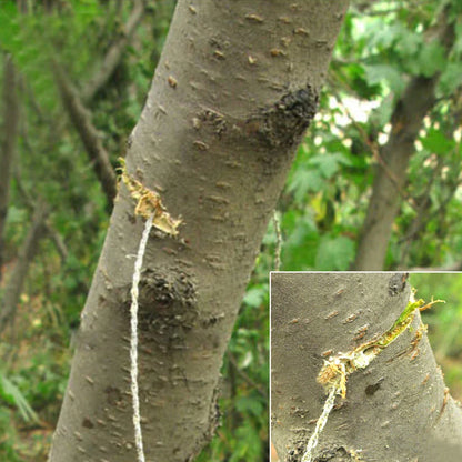 Portable Stainless Steel Outdoor Wire Saw with Finger Handle